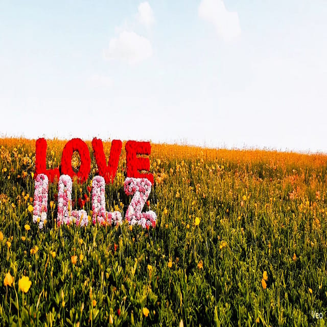 Love ILLZ