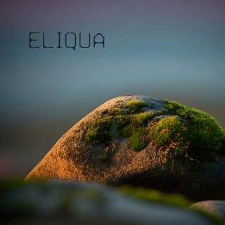 The Language of Moss