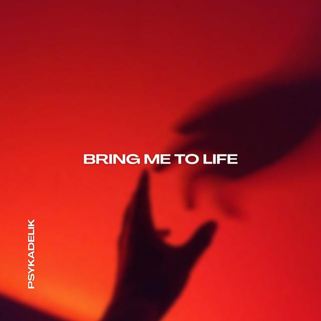 BRING ME TO LIFE (TECHNO)