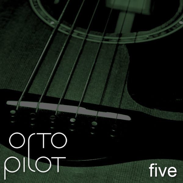 Covers Album Vol. Five