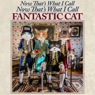 Now That's What I Call Now That’s What I Call Fantastic Cat (Deluxe Edition)