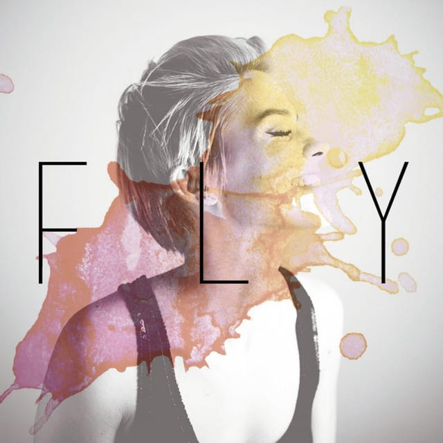 Fly