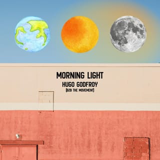 Morning Light