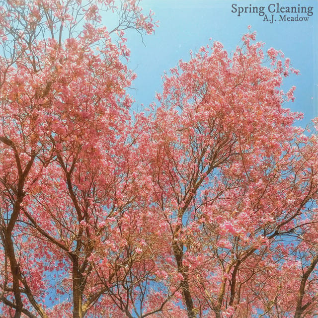 Spring Cleaning - Single