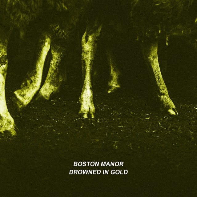 Drowned in Gold