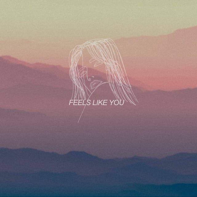 Feels Like You - Single