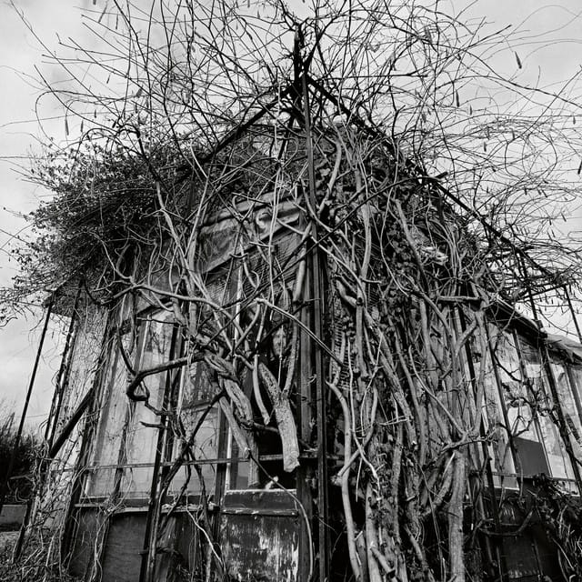 Dead Decades - EP