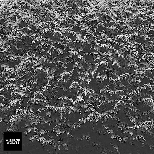 Leave - Single