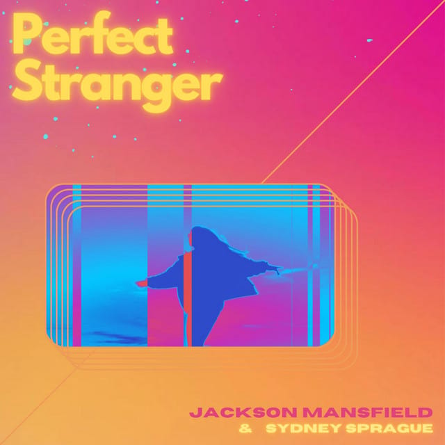 Perfect Stranger