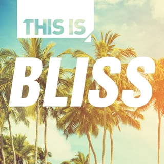 This Is – Bliss