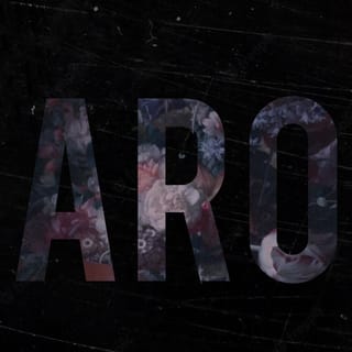 Aro - Single