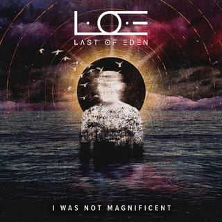 I Was Not Magnificent - Single