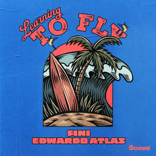 Learning To Fly