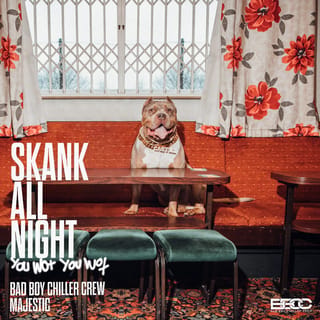 Skank All Night (You Wot, You Wot)