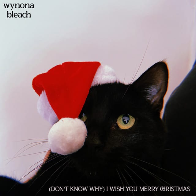 (Don't Know Why) I Wish You Merry Christmas