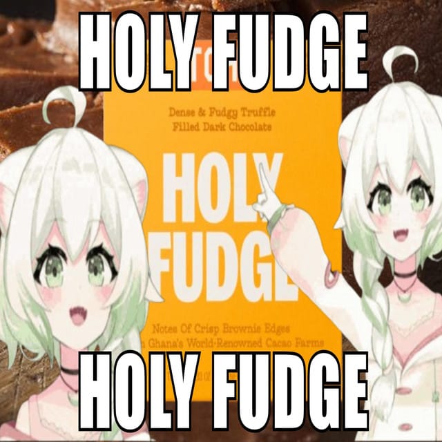 HOLY FUDGE