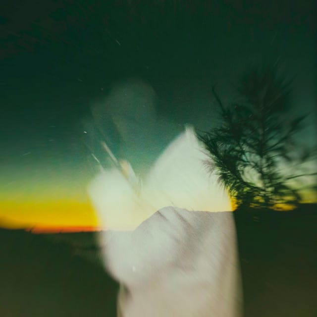 Sunshine (Quarantine Version) - Single