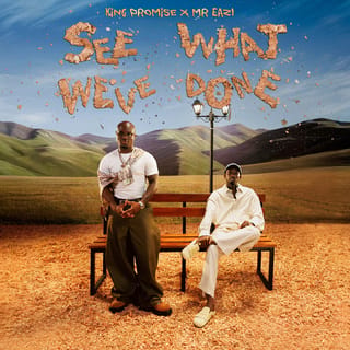 See What We've Done