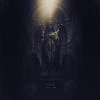 MEET ME AFTER LIFE