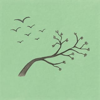 Birdsongs - Single