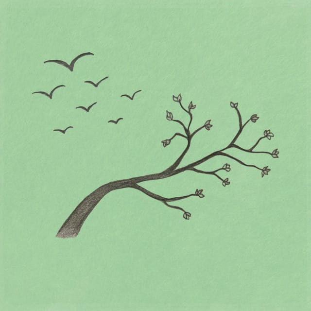 Birdsongs - Single