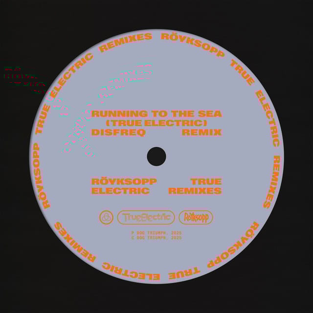 Running To The Sea (Disfreq Remix)