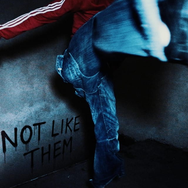 Not Like Them (Slowed Version) - Single