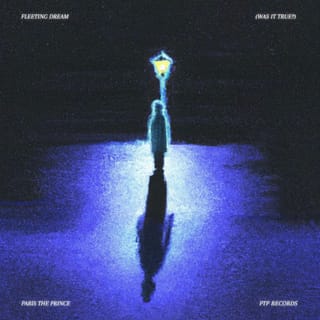 Fleeting Dream (Was It True?) - Single