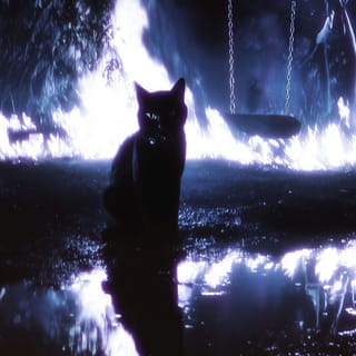 MI GATA