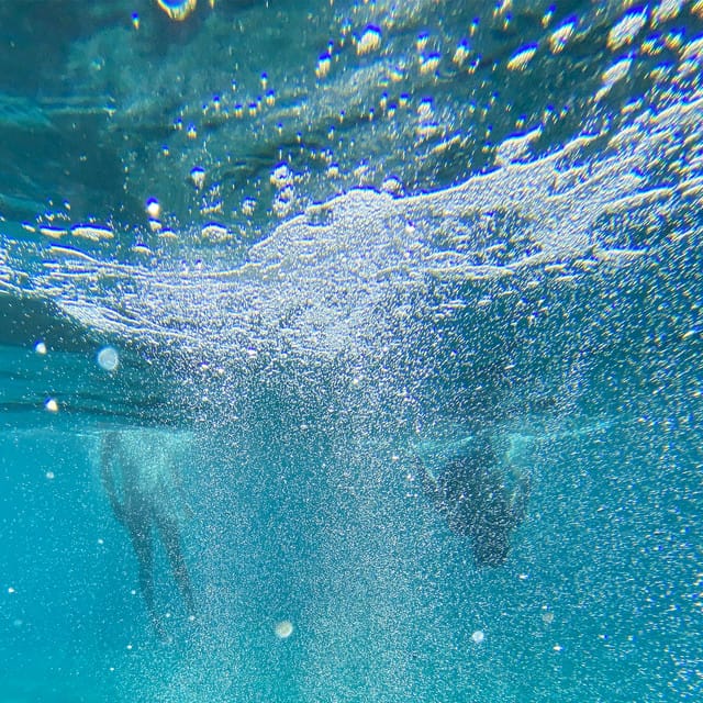 Halo [Breathe]