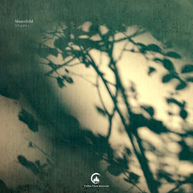 Shades - Single