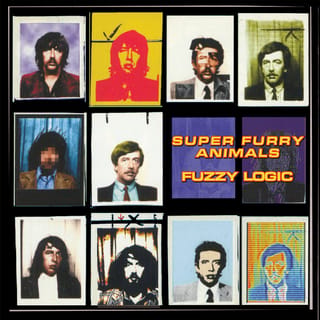 Fuzzy Logic (20th Anniversary Edition)