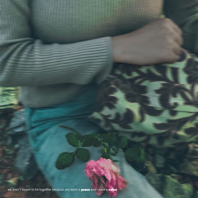 We aren't meant to be together because you want a peace and I want a noise (feat. wendra) - Single