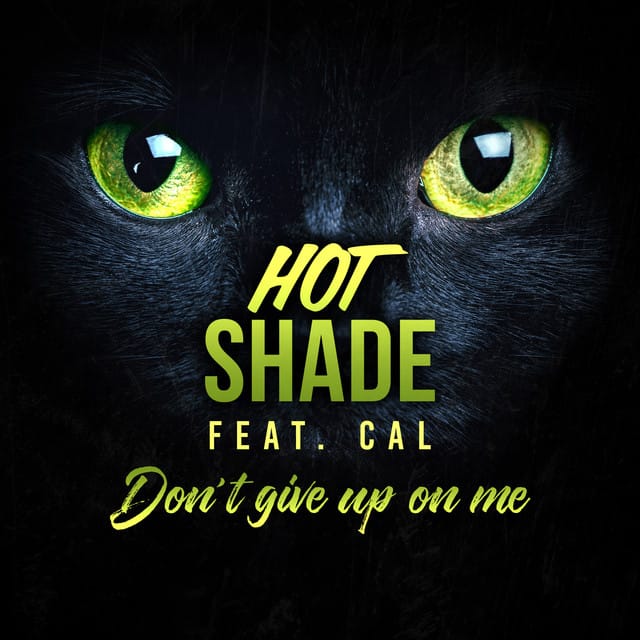 Don’t Give up on Me