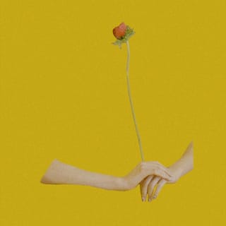 Flora