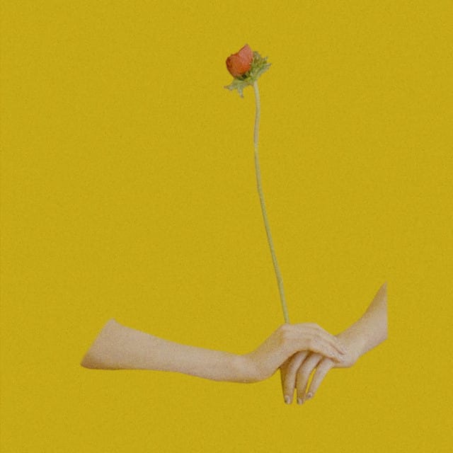 Flora