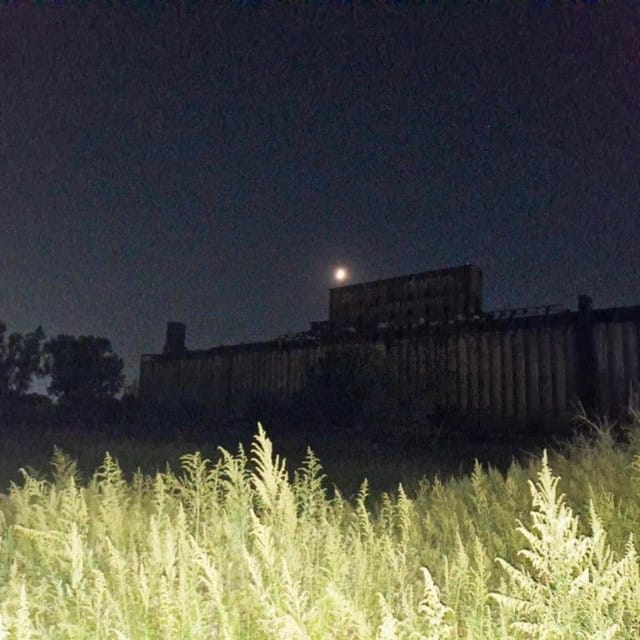 One can dream - Single