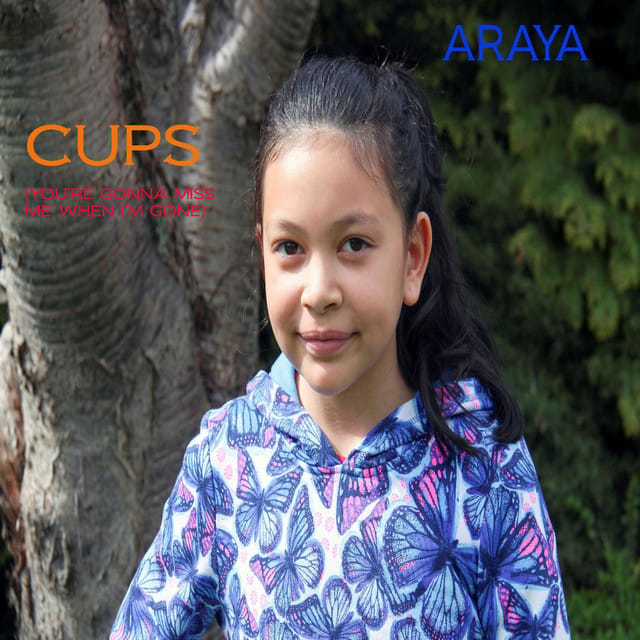 Cups (You're Gonna Miss Me When I'm Gone)