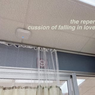 The Repercussion of Falling In Love