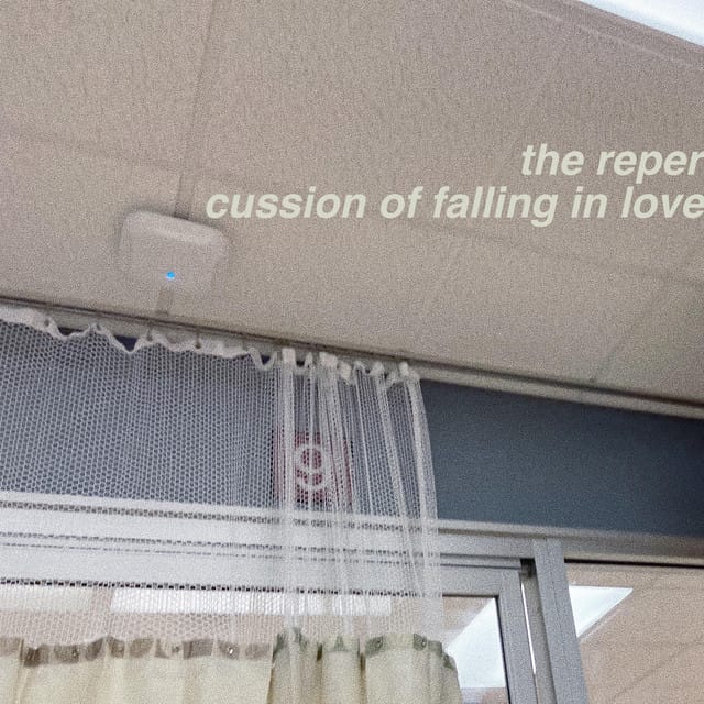 The Repercussion of Falling In Love
