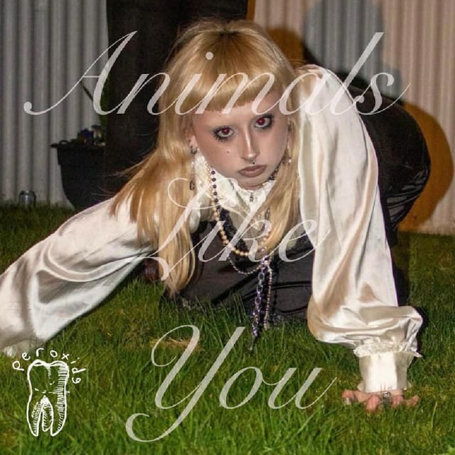 Animals Like You - Single