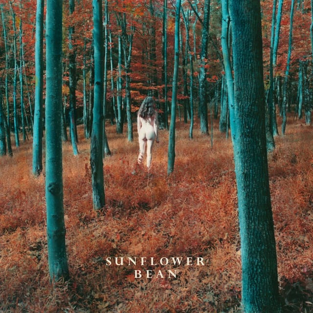 I Hear Voices / The Stalker
