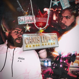 Canis Lupus