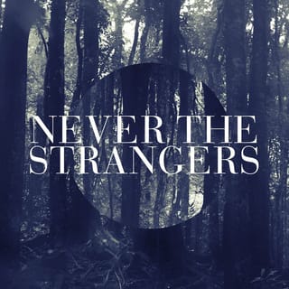 Never the Strangers