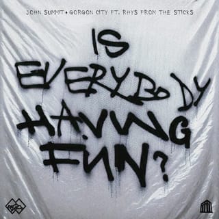 Is Everybody Having Fun? (feat. rhys from the sticks)
