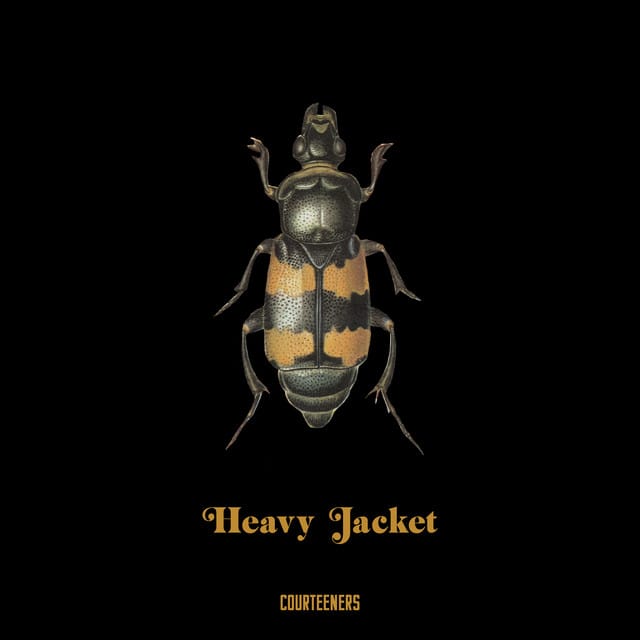 Heavy Jacket