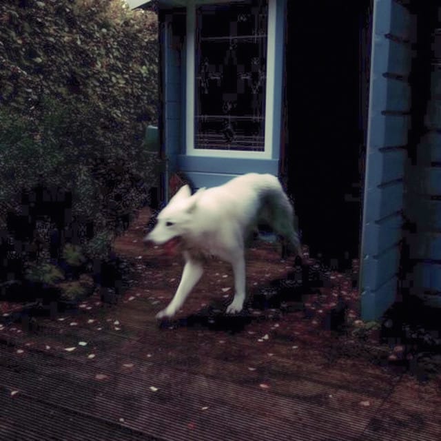 Is This Really It? - Single