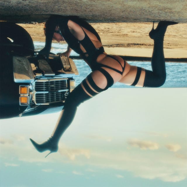 Airborne Ashes (Eartheater & Aleksandir Remix) - Single