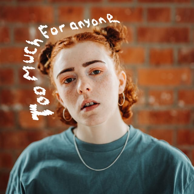 Too Much For Anyone