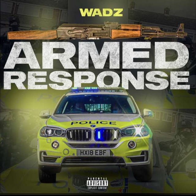 ARMED RESPONSE